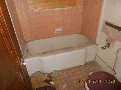 7485 American (24)_m.jpg